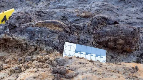 Exhumación realizada en la localidad de Sena de Luna (1)