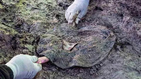 Exhumación realizada en la localidad de Sena de Luna (2)