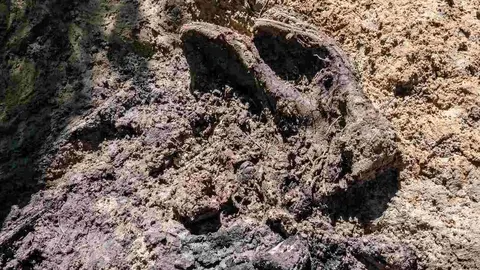 Exhumación realizada en la localidad de Sena de Luna (11)