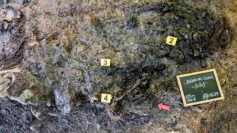 Exhumación realizada en la localidad de Sena de Luna (12)