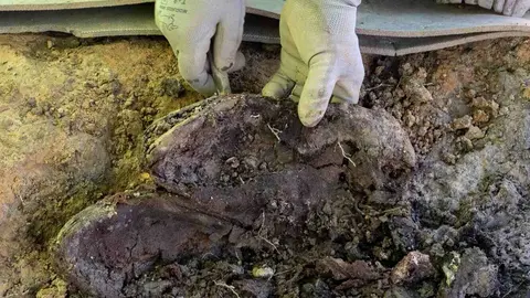 Exhumación realizada en la localidad de Sena de Luna (13)