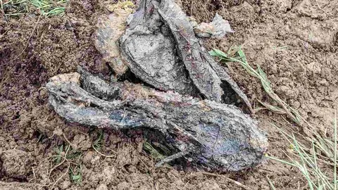 Exhumación realizada en la localidad de Sena de Luna (26)