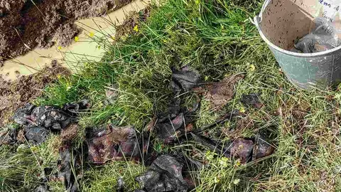 Exhumación realizada en la localidad de Sena de Luna (28)