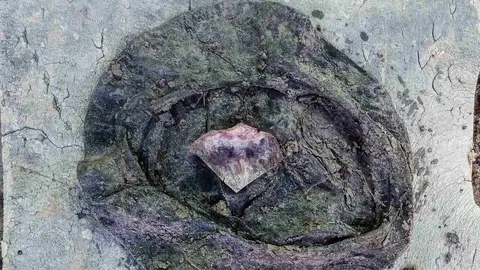 Exhumación realizada en la localidad de Sena de Luna (46)