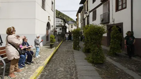 Villafranca del Bierzo, celebra su tradicional Fiesta de los Maios, declarada Fiesta de Interés Turístico Provincial Foto César Sánchez (1)