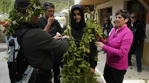 Villafranca del Bierzo, celebra su tradicional Fiesta de los Maios, declarada Fiesta de Interés Turístico Provincial Foto César Sánchez (15).jpg
