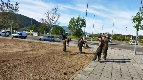 Avanzan los trabajos de ajardinamiento de la parcela municipal en el Barrio de La Rosaleda.