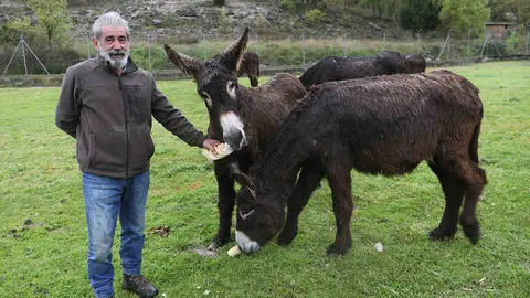 En el Centro de Ocio ‘Los Caños’, Luis Cantera se dedica a conservar esta especie de burro en peligro de extinción. Foto: Brágimo.