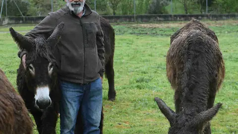 En el Centro de Ocio ‘Los Caños’, Luis Cantera se dedica a conservar esta especie de burro en peligro de extinción. Foto: Brágimo.