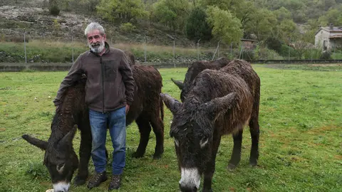 En el Centro de Ocio ‘Los Caños’, Luis Cantera se dedica a conservar esta especie de burro en peligro de extinción. Foto: Brágimo.