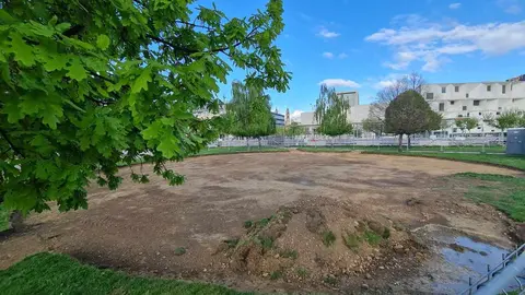 La ciudad da los primeros pasos para levantar el león de juegos más grande del mundo en la explanada de los Pendones Leoneses, con una inversión de más de 940.000 euros y un plazo de ejecución de seis meses.