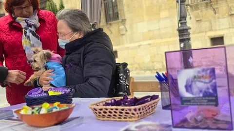 La asociación Alefas conmemoró este lunes el Día Mundial de la Fibromialgia y el Síndrome de Fatiga Crónica con una acción de sensibilización en pleno centro de la ciudad. Fotos: Ayto León