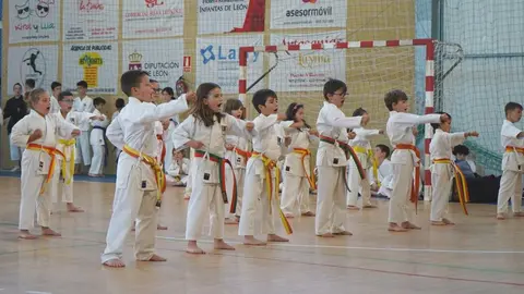 Más de 600 personas darán brillo al Día del Deporte de Sariegos.