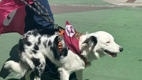 IV Caminu la Llibertá 'Por la autonomía leonesa'.