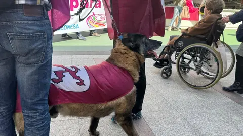 IV Caminu la Llibertá 'Por la autonomía leonesa'.
