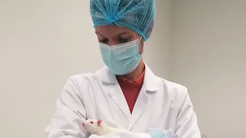 El investigador de la Universidad de León, Giulio Galli, con una rata de laboratorio.