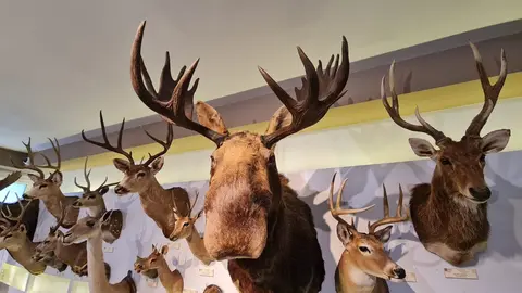 El Museo de las Colecciones de la Universidad de León (Mule) se ha consolidado como uno de los espacios más singulares del panorama museístico nacional.