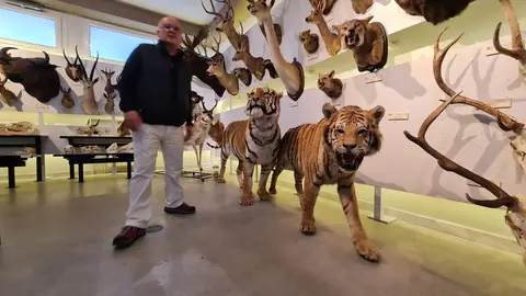 El Museo de las Colecciones de la Universidad de León (Mule) se ha consolidado como uno de los espacios más singulares del panorama museístico nacional.