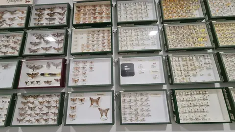 El Museo de las Colecciones de la Universidad de León (Mule) se ha consolidado como uno de los espacios más singulares del panorama museístico nacional.