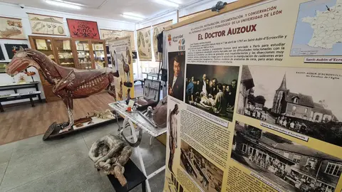 El Museo de las Colecciones de la Universidad de León (Mule) se ha consolidado como uno de los espacios más singulares del panorama museístico nacional.