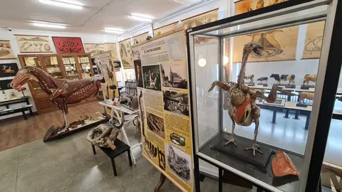 El Museo de las Colecciones de la Universidad de León (Mule) se ha consolidado como uno de los espacios más singulares del panorama museístico nacional.