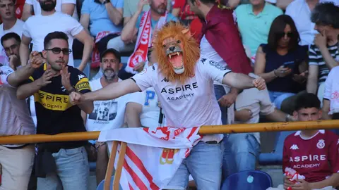 El Reino de León vibró con un ambiente inolvidable en una jornada de sufrimiento y gloria. El empate ante el Andorra (1-1) fue suficiente para devolver al equipo a la categoría de plata del fútbol español. La ciudad celebra por todo lo alto. Fotos: Isaac Llamazares