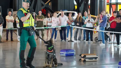 El general jefe del Mando de Artillería de Campaña y Comandante Militar de León, Antonio Mongío, preside un acto de izado de bandera con motivo de la celebración del Día de las Fuerzas Armadas. Jornada de exposición de medios del Ejército de Tierra y la Guardia Civil en el Palacio de Exposiciones de León con motivo del Día de las Fuerzas Armadas. Fotos: Campillo