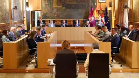 Pleno Ordinario en la Diputación de León en la que se realiza una declaración institucional de los grupos políticos en defensa del sector remolachero y la olanta Azucarera La Bañeza. Foto: Campillo