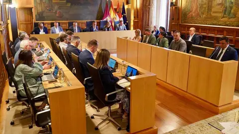 Pleno Ordinario en la Diputación de León en la que se realiza una declaración institucional de los grupos políticos en defensa del sector remolachero y la olanta Azucarera La Bañeza. Foto: Campillo