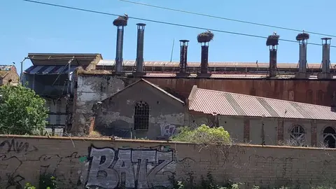 Las ruinas de la vieja fábrica azucarera de Veguellina de Órbigo, a la venta. / E. EMPERADOR