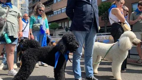 Manifestación en León contra la ley del medicamento veterinario