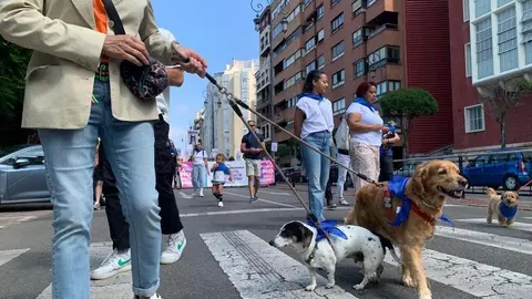 Manifestación en León contra la ley del medicamento veterinario