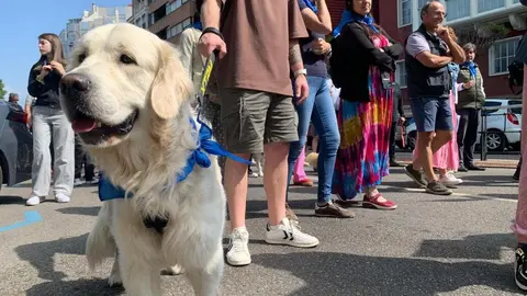 Manifestación en León contra la ley del medicamento veterinario