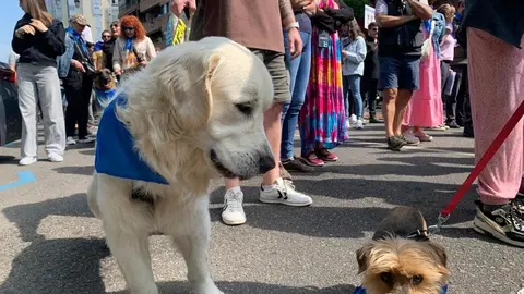 Manifestación en León contra la ley del medicamento veterinario