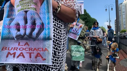Manifestación en León contra la ley del medicamento veterinario