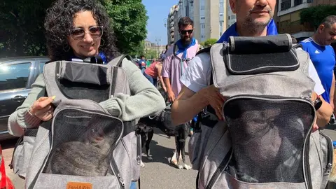 Manifestación en León contra la ley del medicamento veterinario