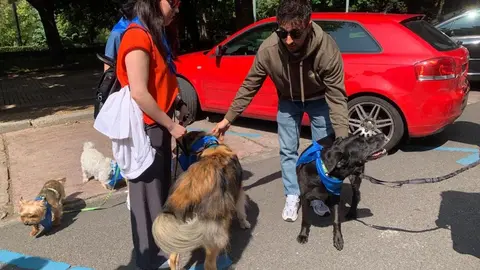 Manifestación en León contra la ley del medicamento veterinario