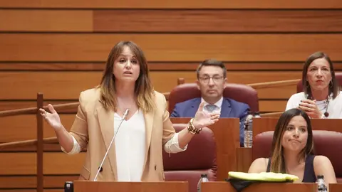 Pleno de las Cortes de Castilla y León con la actualidad de la Comunidad como referente en diferentes puntos. Rubén Cacho