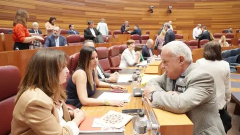 Pleno de las Cortes de Castilla y León con la actualidad de la Comunidad como referente en diferentes puntos. Rubén Cacho