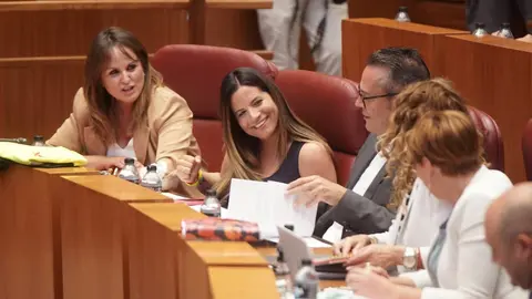 Pleno de las Cortes de Castilla y León con la actualidad de la Comunidad como referente en diferentes puntos. Rubén Cacho