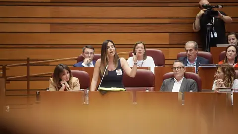 Pleno de las Cortes de Castilla y León con la actualidad de la Comunidad como referente en diferentes puntos. Rubén Cacho