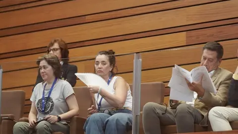 Pleno de las Cortes de Castilla y León con la actualidad de la Comunidad como referente en diferentes puntos. Rubén Cacho