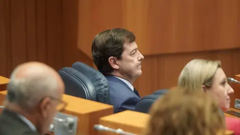Pleno de las Cortes de Castilla y León con la actualidad de la Comunidad como referente en diferentes puntos. Rubén Cacho