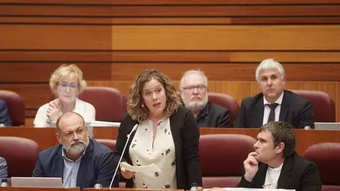 Pleno de las Cortes de Castilla y León con la actualidad de la Comunidad como referente en diferentes puntos. Rubén Cacho