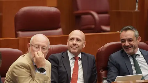 Pleno de las Cortes de Castilla y León con la actualidad de la Comunidad como referente en diferentes puntos. Rubén Cacho