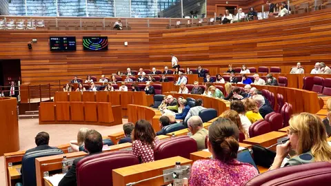 Votación en el Pleno de las Cortes de Castilla y León. Foto: Miriam Chacón.