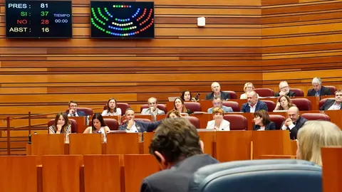 Votación en el Pleno de las Cortes de Castilla y León. Foto: Miriam Chacón.