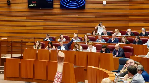 Votación en el Pleno de las Cortes de Castilla y León. Foto: Miriam Chacón.