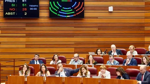 Votación en el Pleno de las Cortes de Castilla y León. Foto: Miriam Chacón.