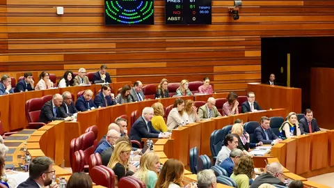 Votación en el Pleno de las Cortes de Castilla y León. Foto: Miriam Chacón.
